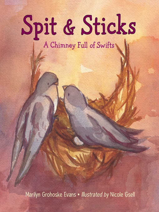 Title details for Spit & Sticks by Marilyn Grohoske Evans - Available